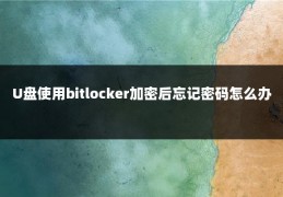 U盘使用bitlocker加密后忘记密码怎么办