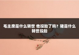 毛主席是什么转世 他投胎了吗？猪是什么转世投胎