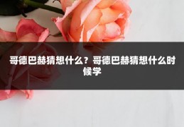 哥德巴赫猜想什么？哥德巴赫猜想什么时候学