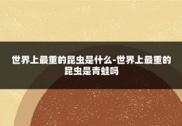 世界上最重的昆虫是什么-世界上最重的昆虫是青蛙吗