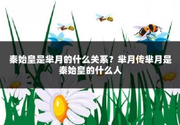 秦始皇是芈月的什么关系？芈月传芈月是秦始皇的什么人