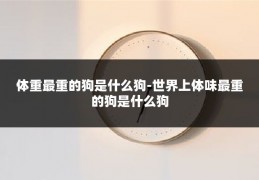 体重最重的狗是什么狗-世界上体味最重的狗是什么狗