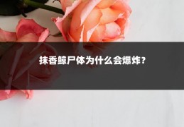 抹香鲸尸体为什么会爆炸？