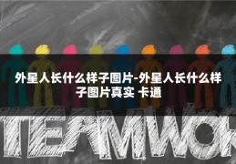 外星人长什么样子图片-外星人长什么样子图片真实 卡通