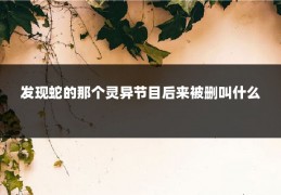 发现蛇的那个灵异节目后来被删叫什么