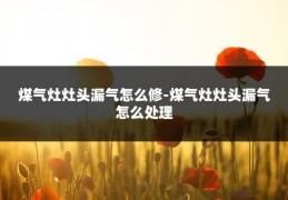 煤气灶灶头漏气怎么修-煤气灶灶头漏气怎么处理