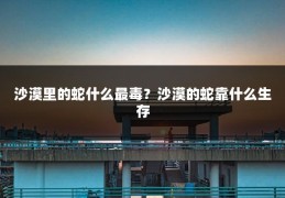 沙漠里的蛇什么最毒？沙漠的蛇靠什么生存