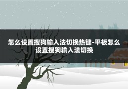 怎么设置搜狗输入法切换热键-平板怎么设置搜狗输入法切换