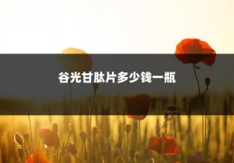 谷光甘肽片多少钱一瓶