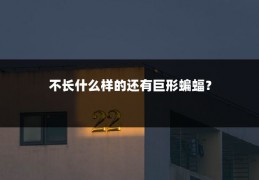 不长什么样的还有巨形蝙蝠？