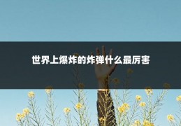 世界上爆炸的炸弹什么最厉害