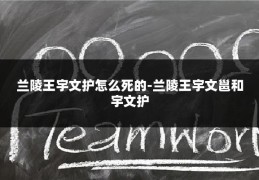 兰陵王宇文护怎么死的-兰陵王宇文邕和宇文护