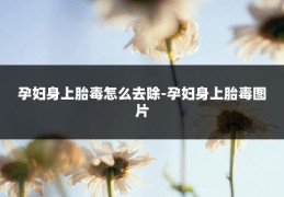 孕妇身上胎毒怎么去除-孕妇身上胎毒图片