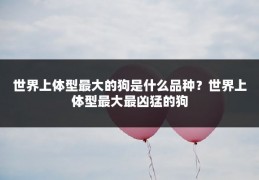 世界上体型最大的狗是什么品种？世界上体型最大最凶猛的狗