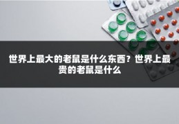 世界上最大的老鼠是什么东西？世界上最贵的老鼠是什么