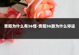 贵阳为什么有36怪-贵阳36路为什么停运