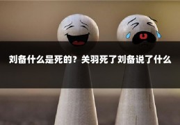 刘备什么是死的？关羽死了刘备说了什么