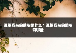 互相残杀的动物是什么？互相残杀的动物有哪些