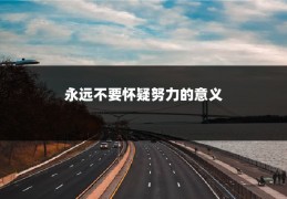 永远不要怀疑努力的意义