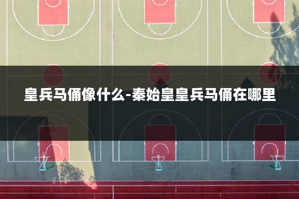 皇兵马俑像什么-秦始皇皇兵马俑在哪里