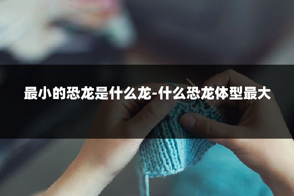 最小的恐龙是什么龙-什么恐龙体型最大