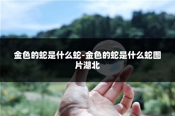 金色的蛇是什么蛇-金色的蛇是什么蛇图片湖北