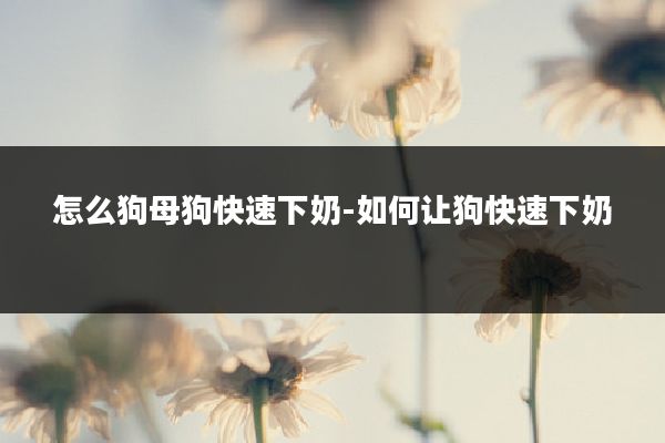 怎么狗母狗快速下奶-如何让狗快速下奶