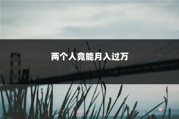 两个人竟能月入过万