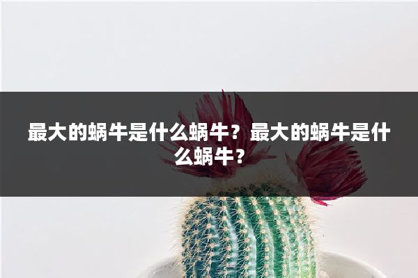 最大的蜗牛是什么蜗牛？最大的蜗牛是什么蜗牛？