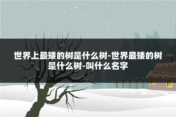 世界上最矮的树是什么树-世界最矮的树是什么树-叫什么名字