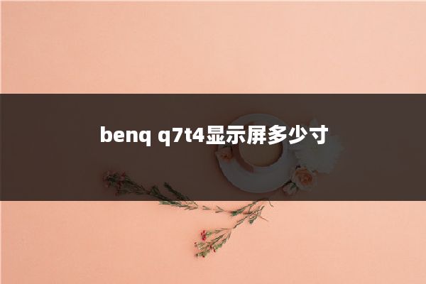 benq q7t4显示屏多少寸