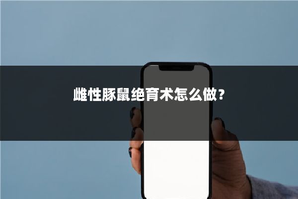 雌性豚鼠绝育术怎么做？