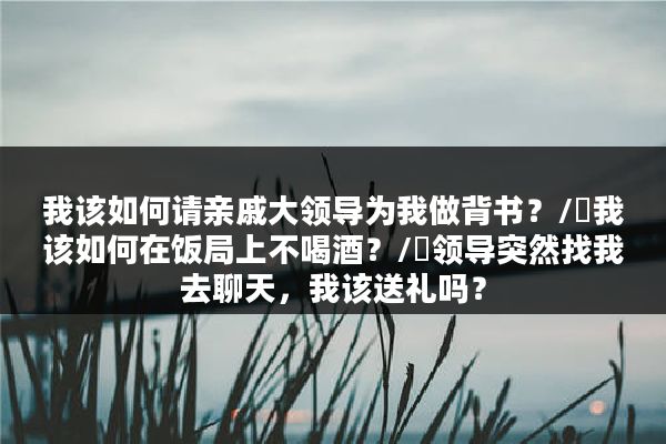 我该如何请亲戚大领导为我做背书？/​我该如何在饭局上不喝酒？/​领导突然找我去聊天，我该送礼吗？