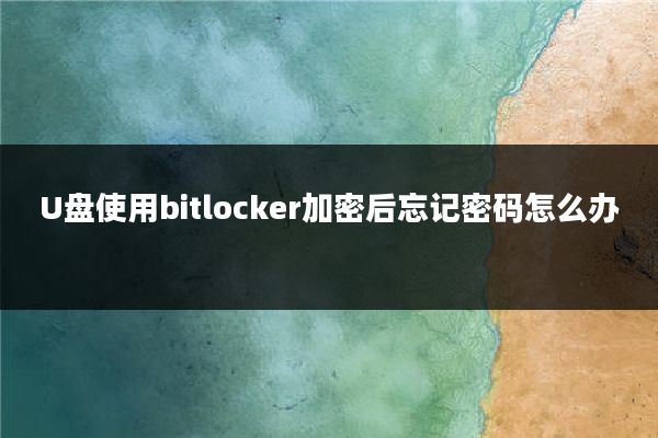 U盘使用bitlocker加密后忘记密码怎么办