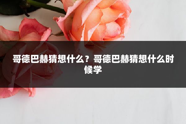 哥德巴赫猜想什么？哥德巴赫猜想什么时候学