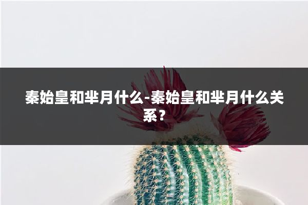 秦始皇和芈月什么-秦始皇和芈月什么关系？