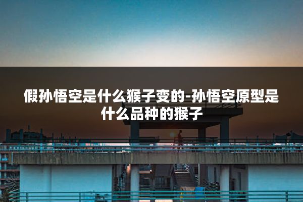 假孙悟空是什么猴子变的-孙悟空原型是什么品种的猴子