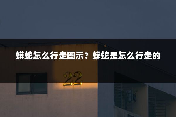 蟒蛇怎么行走图示？蟒蛇是怎么行走的