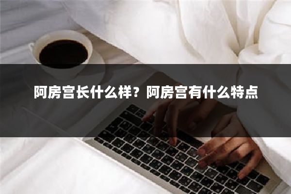 阿房宫长什么样？阿房宫有什么特点