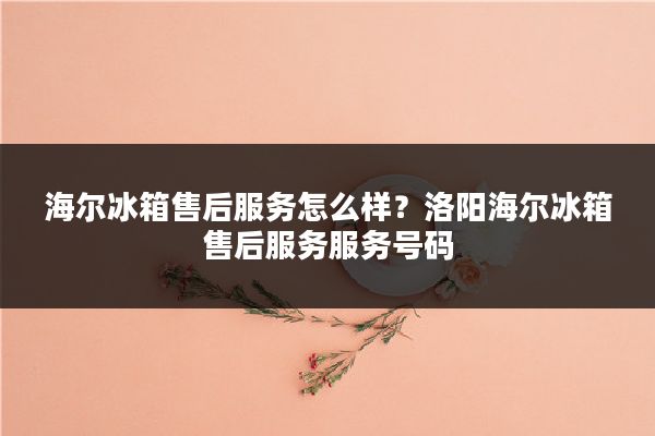 海尔冰箱售后服务怎么样？洛阳海尔冰箱售后服务服务号码