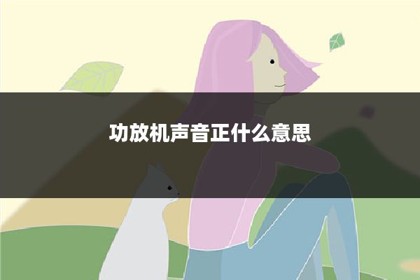 功放机声音正什么意思