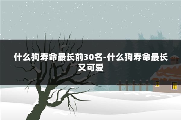 什么狗寿命最长前30名-什么狗寿命最长又可爱