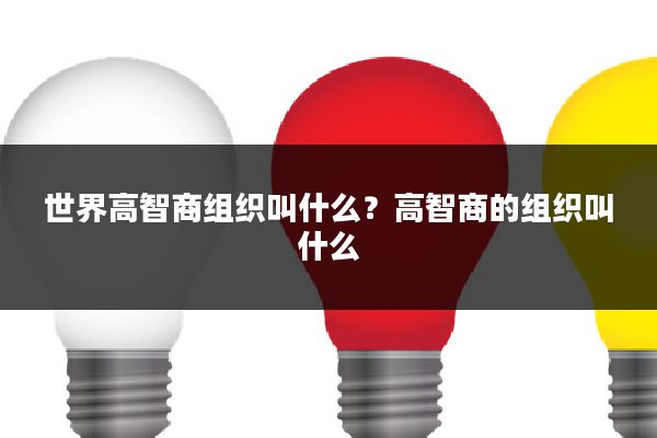 世界高智商组织叫什么？高智商的组织叫什么