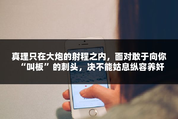 真理只在大炮的射程之内，面对敢于向你“叫板”的刺头，决不能姑息纵容养奸