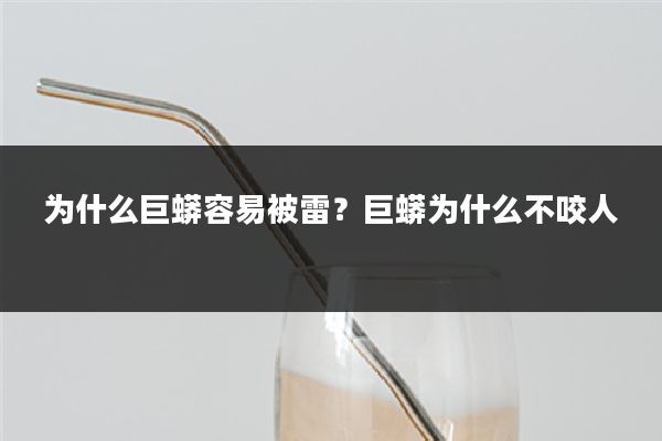 为什么巨蟒容易被雷？巨蟒为什么不咬人