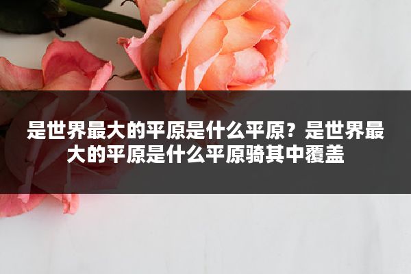 是世界最大的平原是什么平原？是世界最大的平原是什么平原骑其中覆盖