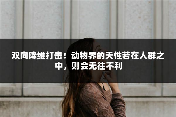 双向降维打击！动物界的天性若在人群之中，则会无往不利