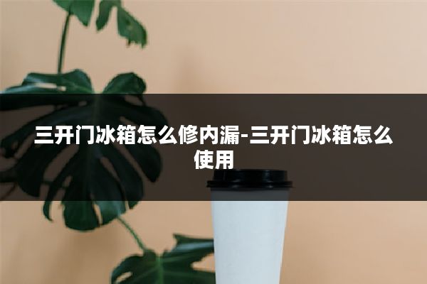 三开门冰箱怎么修内漏-三开门冰箱怎么使用