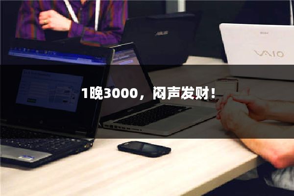 1晚3000，闷声发财！