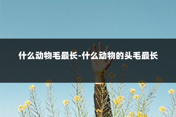 什么动物毛最长-什么动物的头毛最长